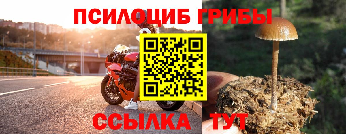 Советский  Псилоцибиновые грибы MAGIC MUSHROOMS  Вход с VPN 
